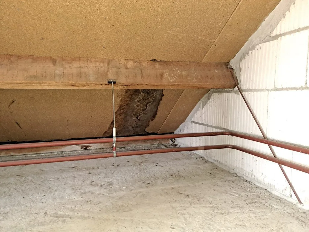 Biobased renovatieproject